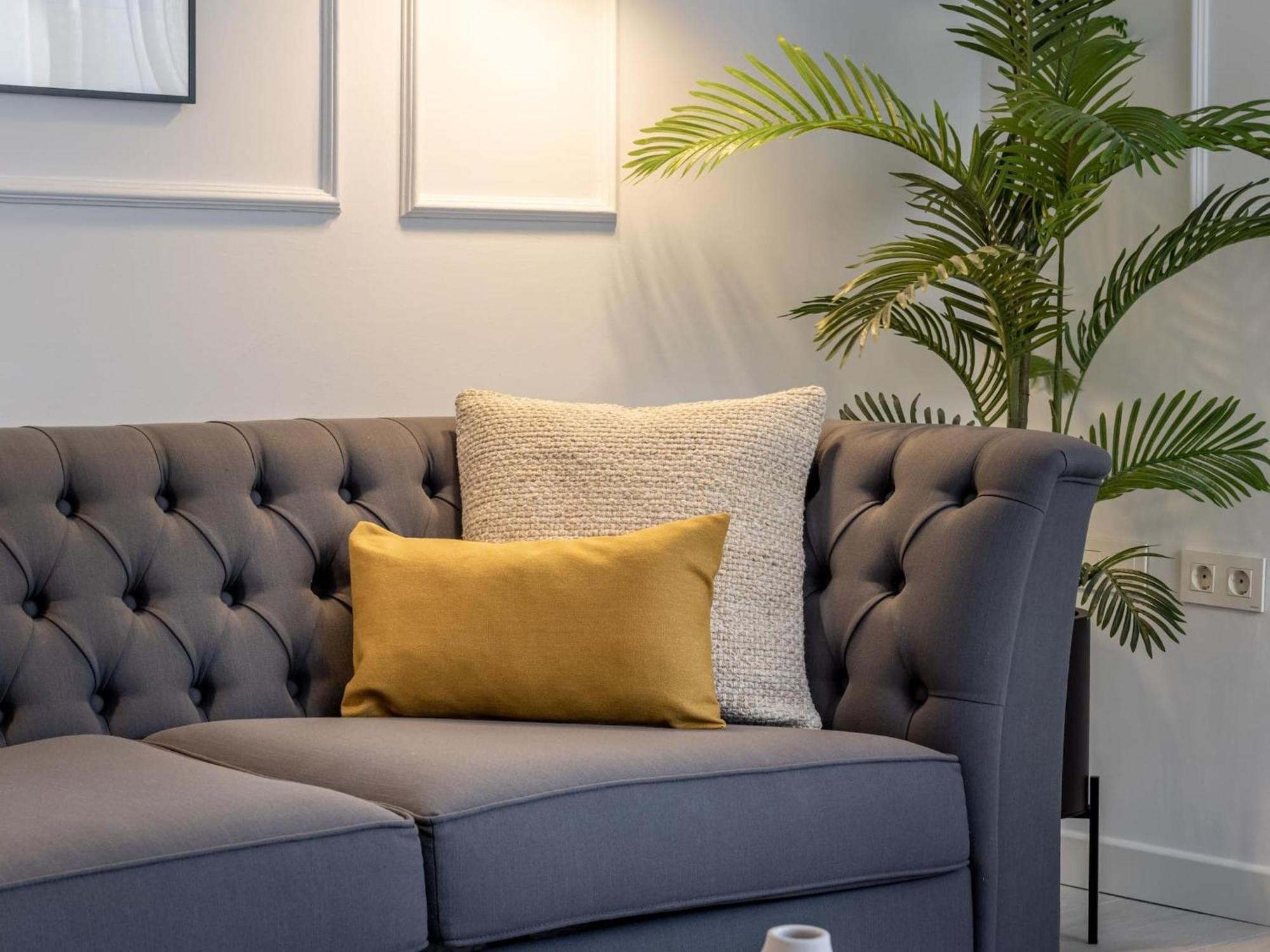 Stylish And Elegant 1 & 2 Bedroom Ii Apartment